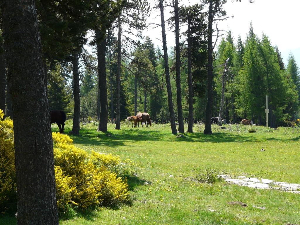 Font Romeu Via Διαμέρισμα Δωμάτιο φωτογραφία